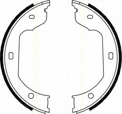 TRISCAN 810011012 Комплект гальмівних колодок, стоянкова гальмівна система