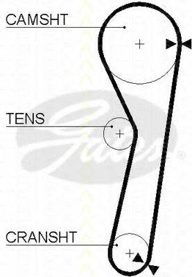 TRISCAN 86455365 Ремінь ГРМ