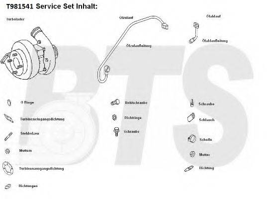 BTS TURBO T981541 Компресор наддув