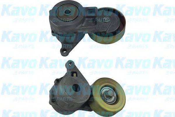 KAVO PARTS DTP5501 Натяжний ролик, полікліновий ремінь