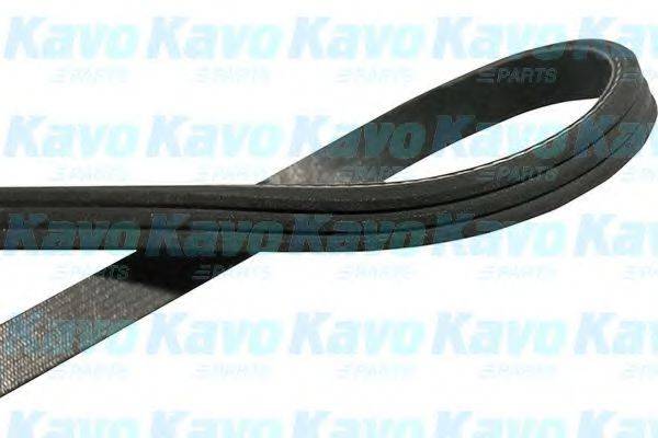 KAVO PARTS DMV1503 Полікліновий ремінь