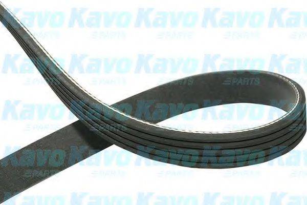 KAVO PARTS DMV1517 Полікліновий ремінь