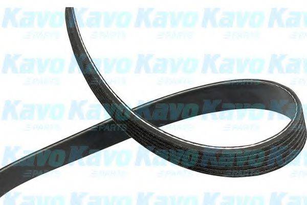 KAVO PARTS DMV1518 Полікліновий ремінь