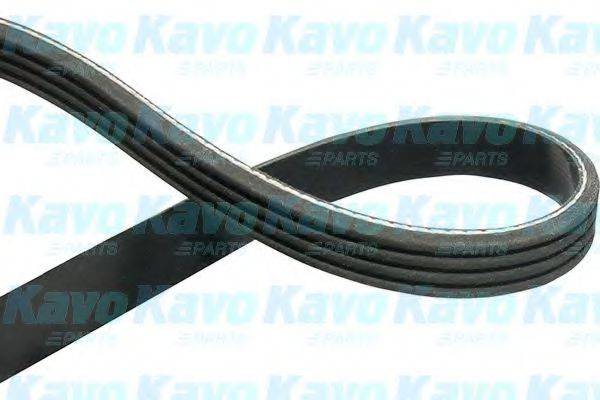 KAVO PARTS DMV1528 Полікліновий ремінь