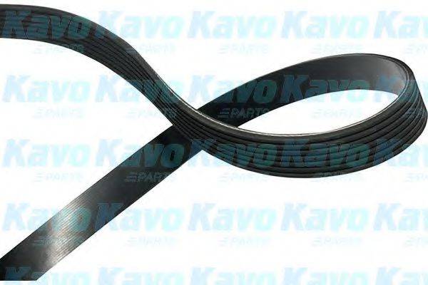 KAVO PARTS DMV6544 Полікліновий ремінь