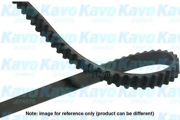 KAVO PARTS DTB8516 Ремінь ГРМ