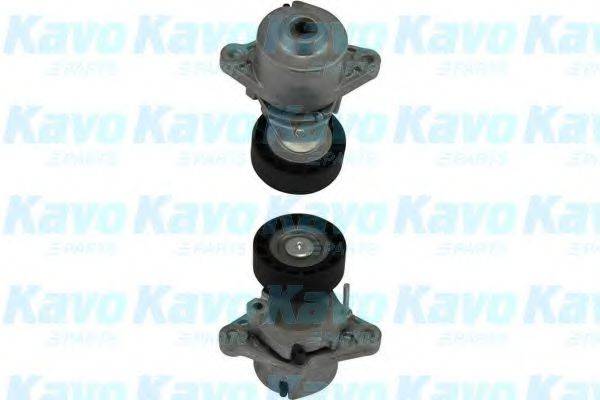 KAVO PARTS DTP3017 Натяжний ролик, полікліновий ремінь