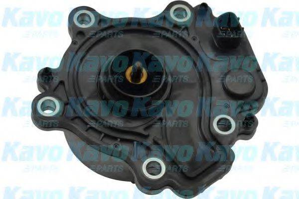 KAVO PARTS TW6001E Водяний насос