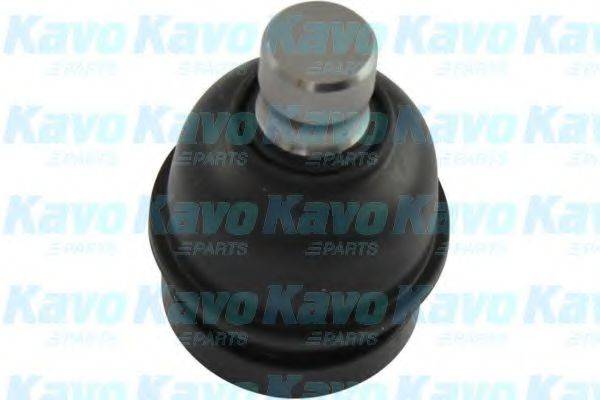 KAVO PARTS SBJ5530 несучий / напрямний шарнір