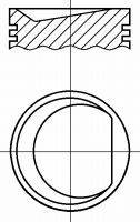 NURAL PI1591100DPSTD Поршень