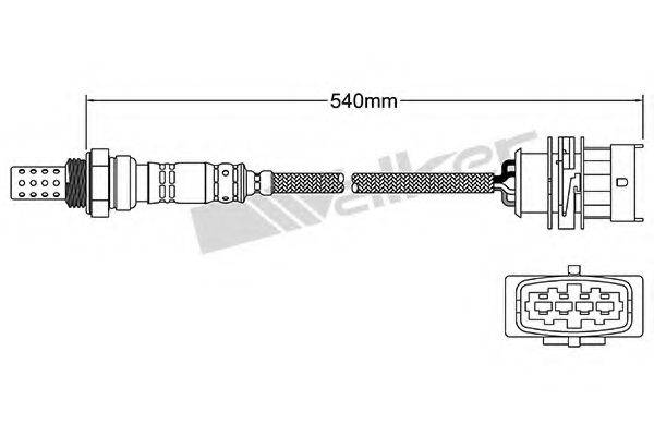 WALKER PRODUCTS 25024590 Лямбда-зонд