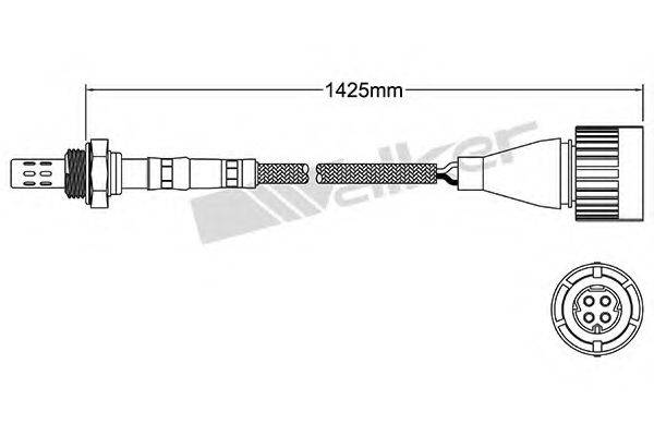 WALKER PRODUCTS 25024021 Лямбда-зонд