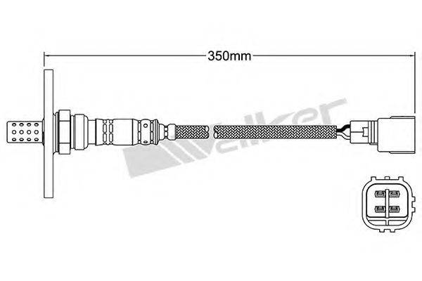 WALKER PRODUCTS 25024151 Лямбда-зонд