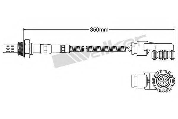 WALKER PRODUCTS 25024038 Лямбда-зонд