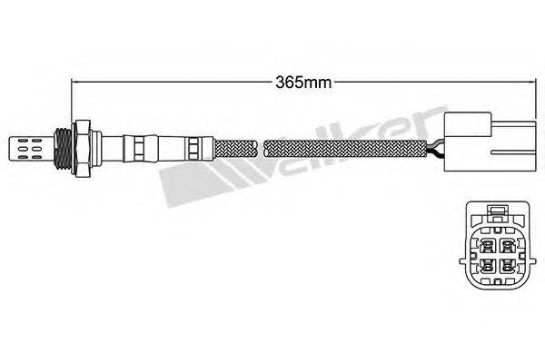 WALKER PRODUCTS 25024437 Лямбда-зонд