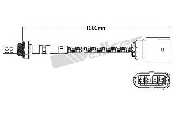 WALKER PRODUCTS 25024582 Лямбда-зонд