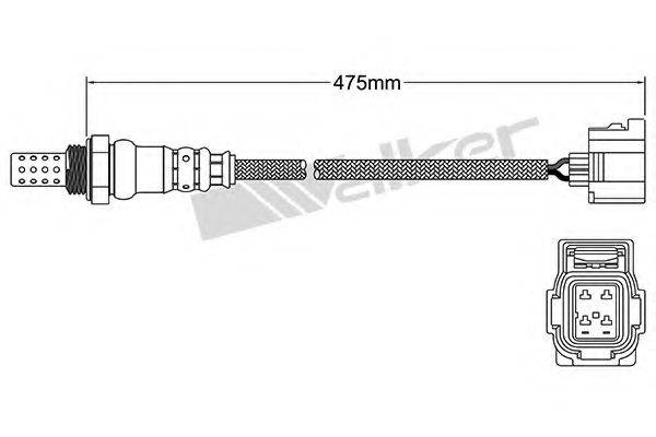 WALKER PRODUCTS 25024675 Лямбда-зонд