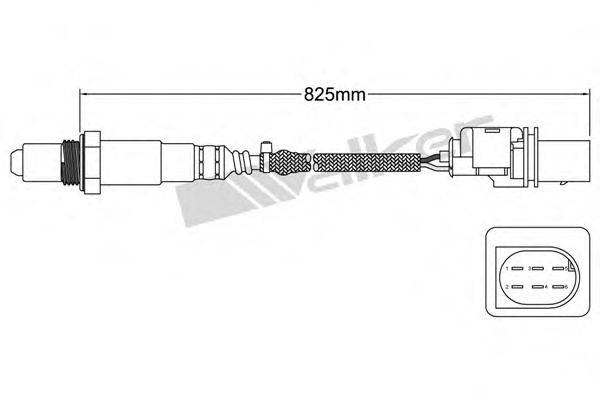 WALKER PRODUCTS 80095010 Лямбда-зонд