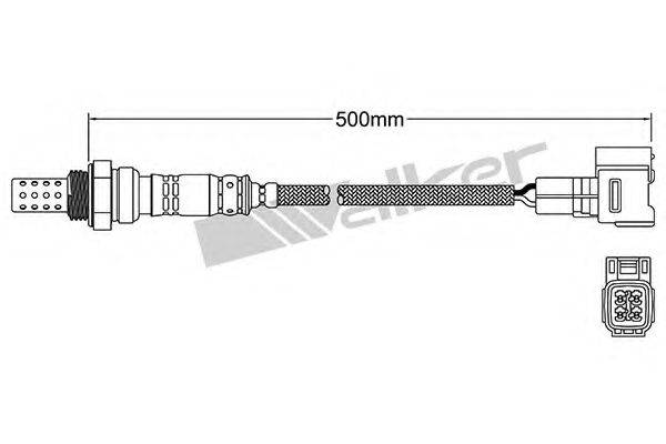 WALKER PRODUCTS 25024862 Лямбда-зонд