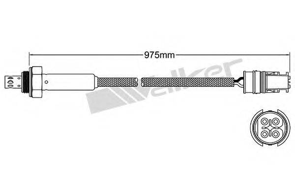 WALKER PRODUCTS 25024876 Лямбда-зонд