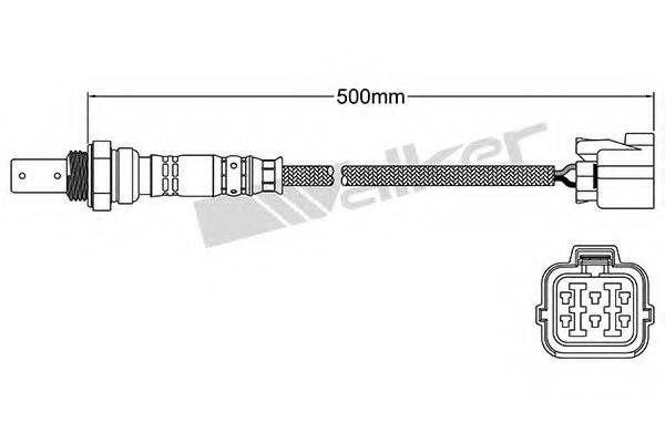 WALKER PRODUCTS 25054047 Лямбда-зонд