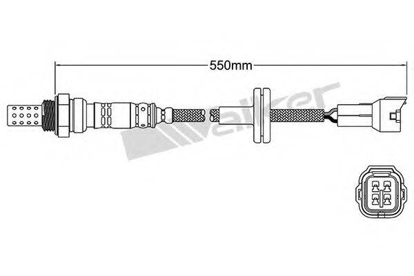 WALKER PRODUCTS 25024967 Лямбда-зонд