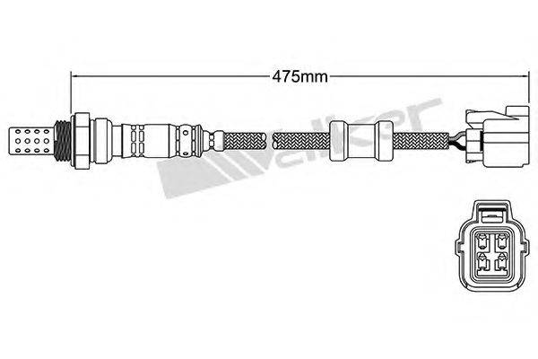 WALKER PRODUCTS 25024621 Лямбда-зонд