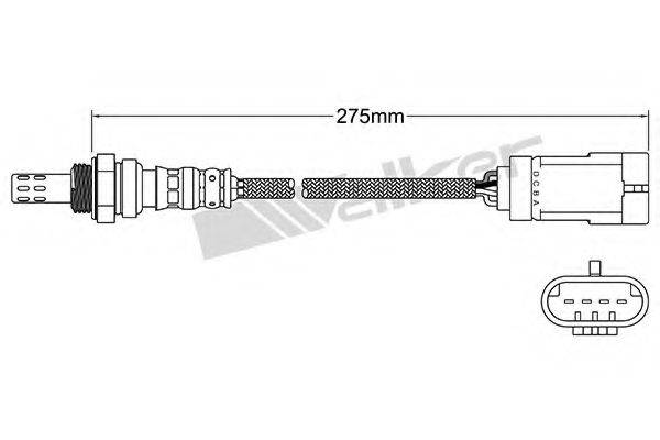 WALKER PRODUCTS 25024975 Лямбда-зонд