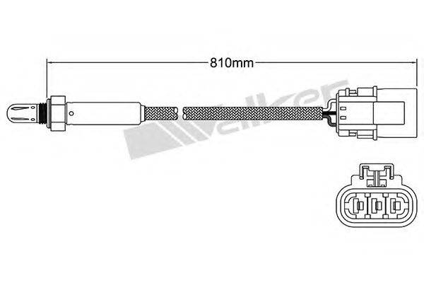 WALKER PRODUCTS 25023143 Лямбда-зонд