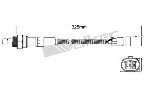 WALKER PRODUCTS 80095021 Лямбда-зонд