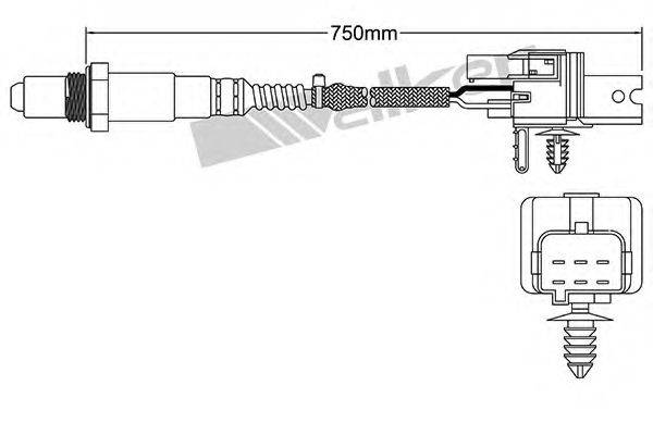 WALKER PRODUCTS 25025079 Лямбда-зонд