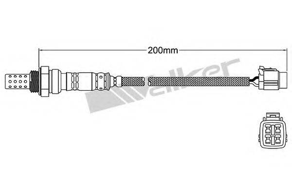 WALKER PRODUCTS 250241033 Лямбда-зонд