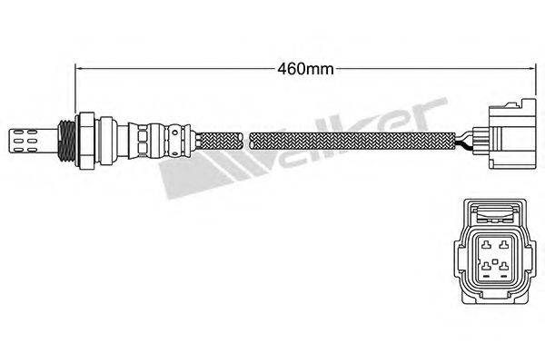 WALKER PRODUCTS 25024259 Лямбда-зонд