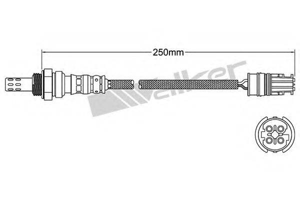 WALKER PRODUCTS 250241038 Лямбда-зонд