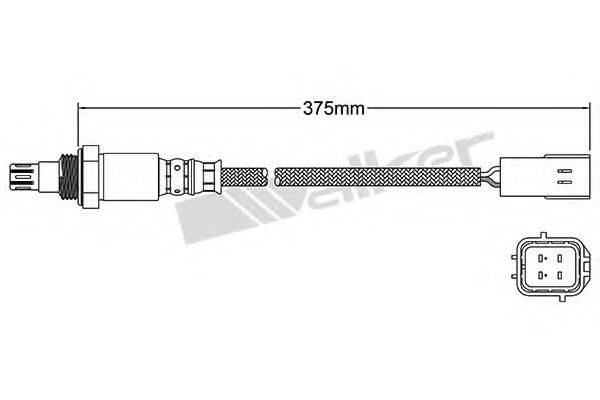 WALKER PRODUCTS 25054035 Лямбда-зонд