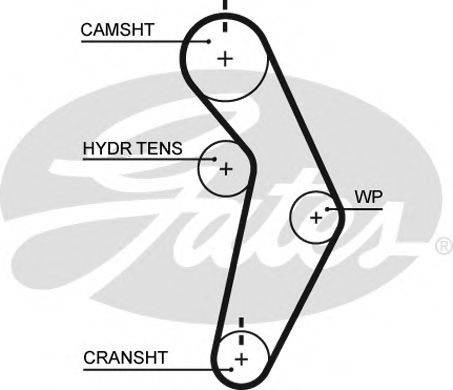 GATES T245 Ремінь ГРМ
