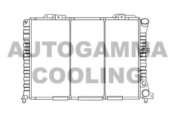 AUTOGAMMA 100021 Радіатор, охолодження двигуна