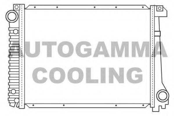 AUTOGAMMA 100130 Радіатор, охолодження двигуна