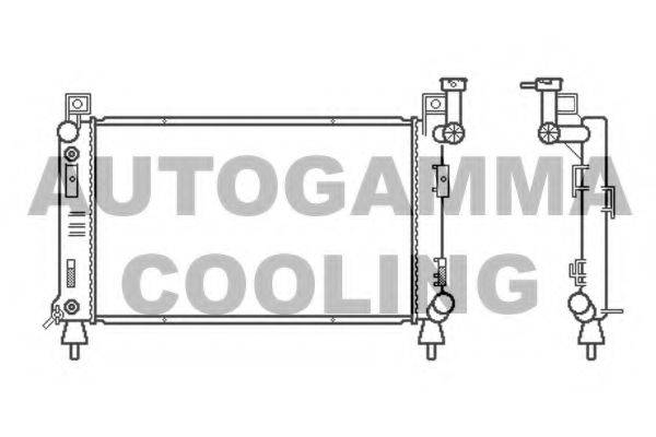 AUTOGAMMA 100141 Радіатор, охолодження двигуна