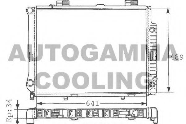 AUTOGAMMA 100555 Радіатор, охолодження двигуна