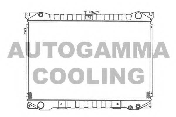 AUTOGAMMA 100611 Радіатор, охолодження двигуна