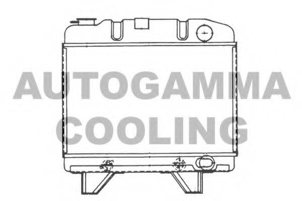 AUTOGAMMA 100786 Радіатор, охолодження двигуна