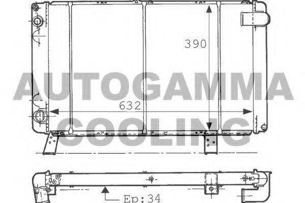 AUTOGAMMA 100806 Радіатор, охолодження двигуна