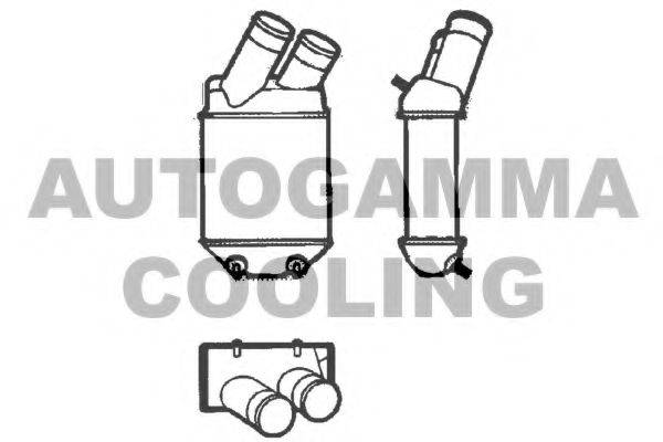 AUTOGAMMA 101493 Інтеркулер