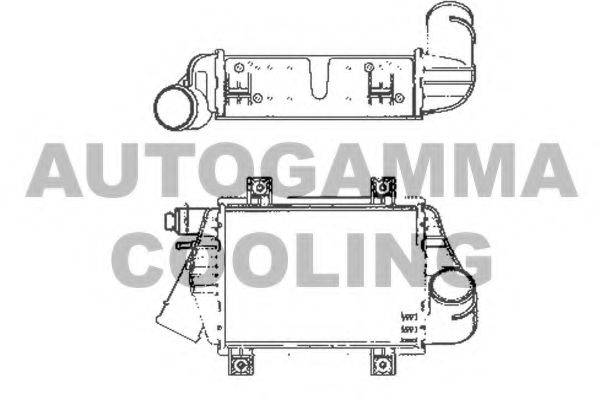 AUTOGAMMA 101966 Інтеркулер