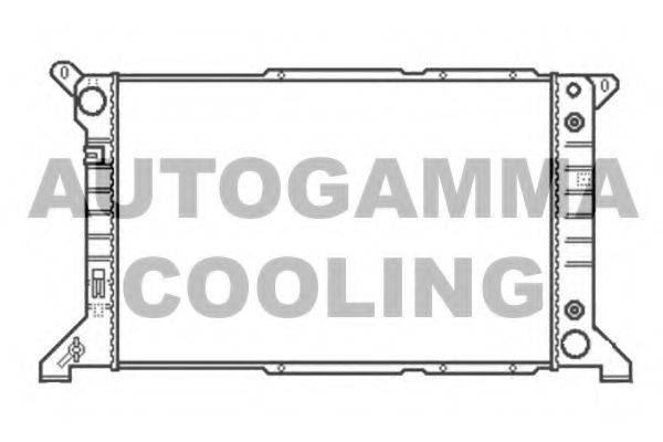 AUTOGAMMA 102090 Радіатор, охолодження двигуна