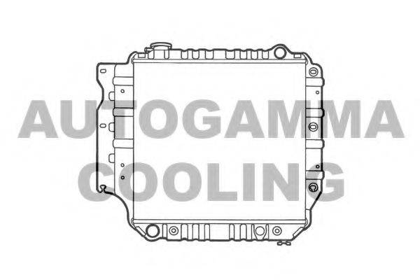 AUTOGAMMA 102132 Радіатор, охолодження двигуна