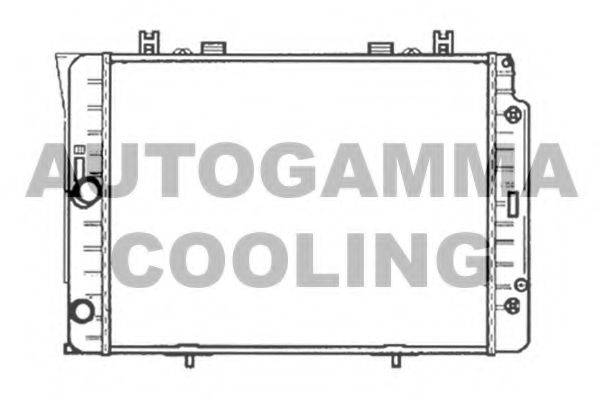 AUTOGAMMA 102161 Радіатор, охолодження двигуна