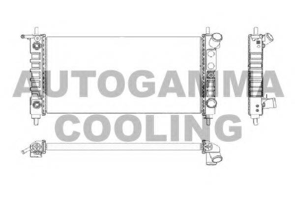 AUTOGAMMA 102224 Радіатор, охолодження двигуна