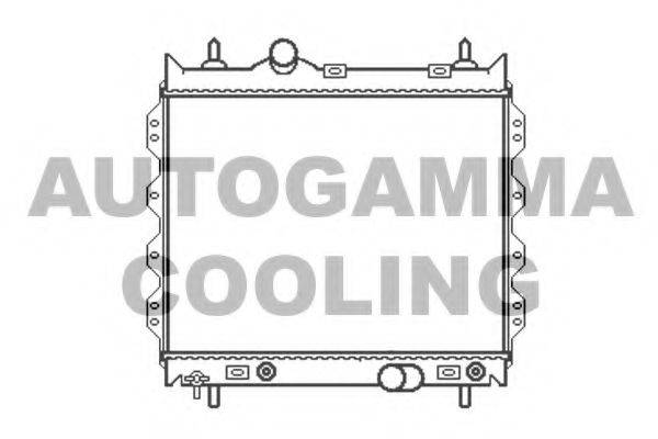 AUTOGAMMA 102861 Радіатор, охолодження двигуна